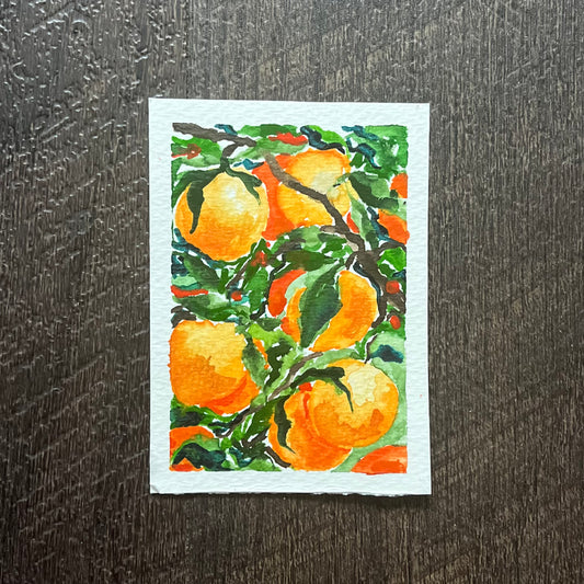 ACEO Oranges Watercolor