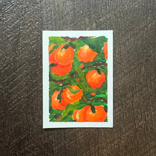 ACEO Oranges Acrylic